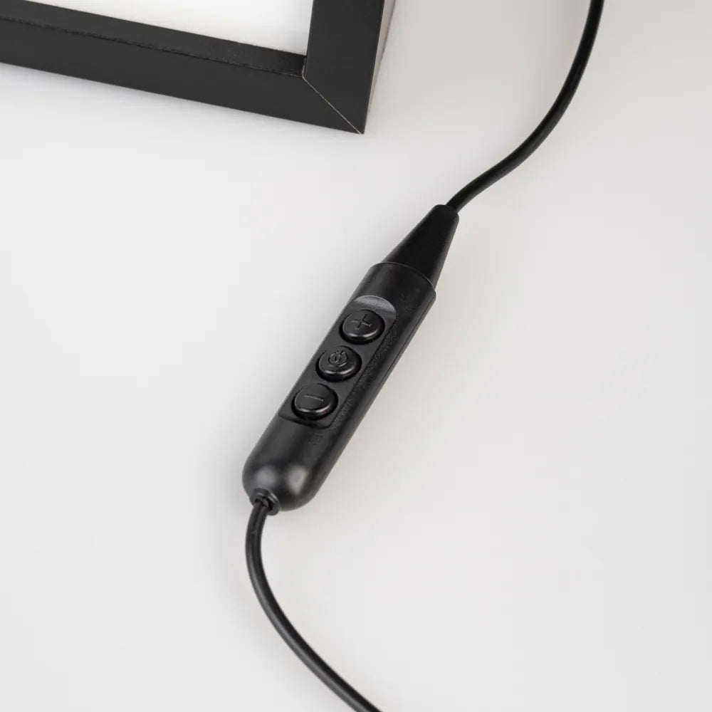 Stampa Retroilluminata The Simpsons – Homer “Take Me to Your Leader” con Cornice e Luce LED